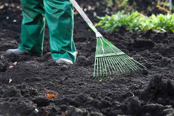 Как подготовить почву к посадке газона?