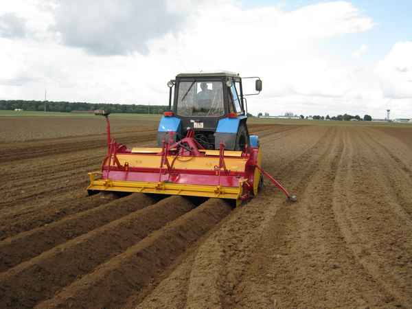 Нарезка гребней для посадки картофеля
