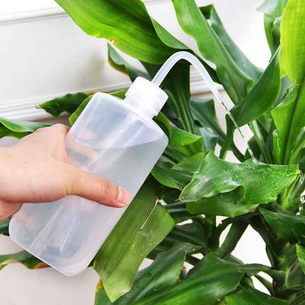 Полив растений дистиллированной водой