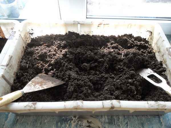 Почва для рассады томатов в домашних условиях