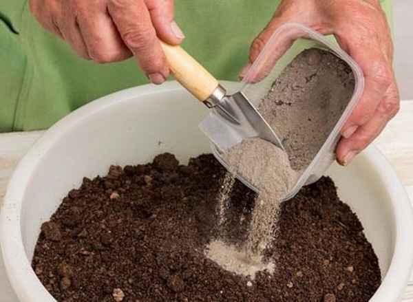 Как раскислить почву в горшке с растением?