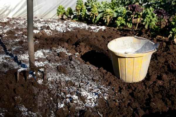 Как раскислить почву на огороде весной?