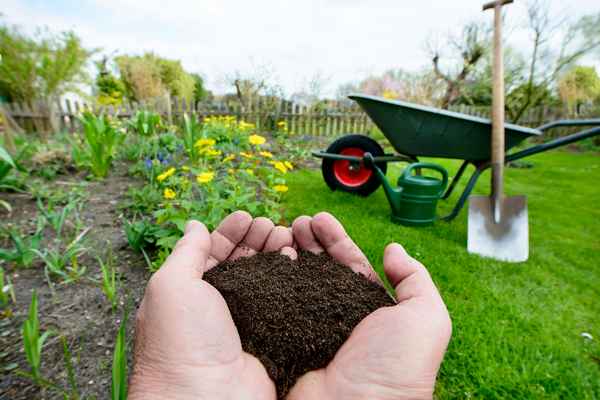 Как улучшить плодородие почвы на дачном участке?