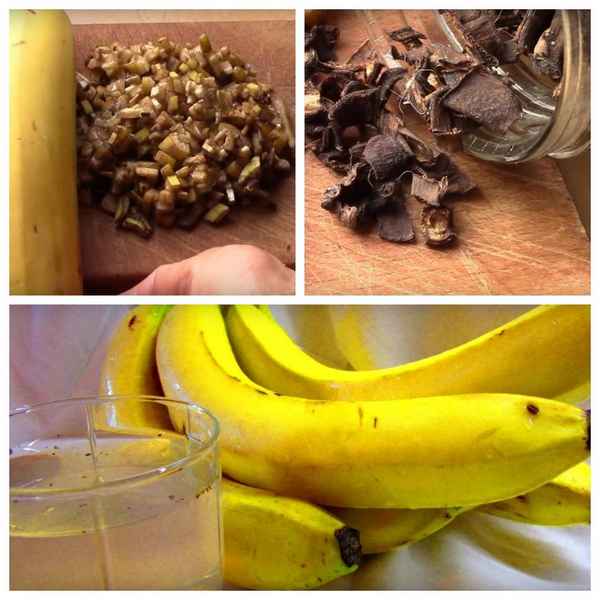 Польза банановой кожуры для растений