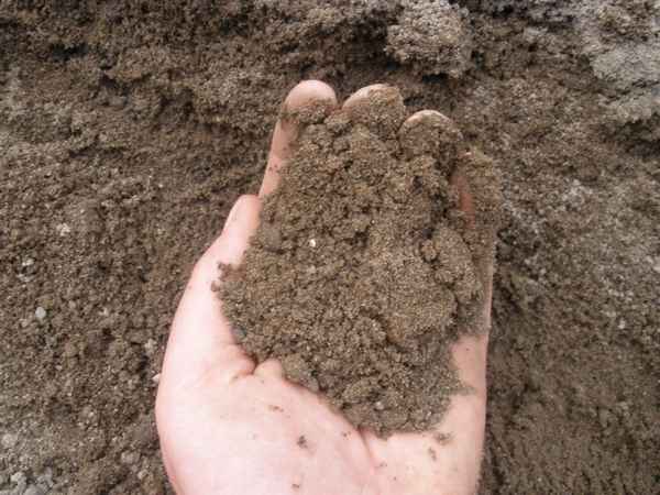 Супесчаная почва что это такое?