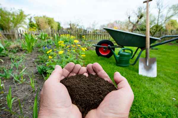 Как улучшить почву на огороде?