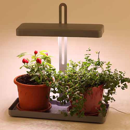 Светильники для растений для дома