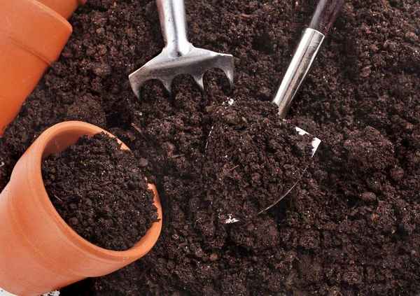 Как подготовить почву для рассады?