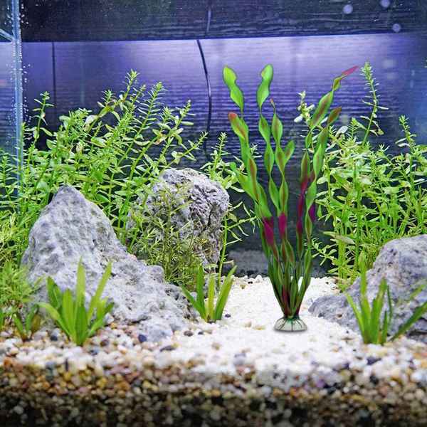 Искусственные растения в аквариуме за и против