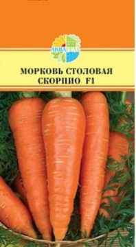 Морковь Скорпио F1