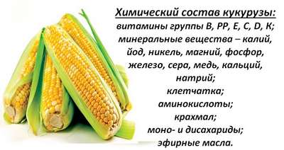 Состав и калорийность кукурузы