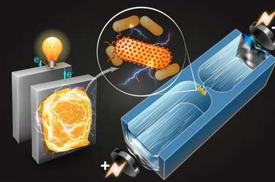 Создана батарея, которую перезаряжают бактерии