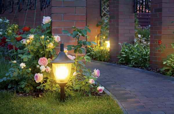 Как выполнить освещение сада: рассмотрим варианты