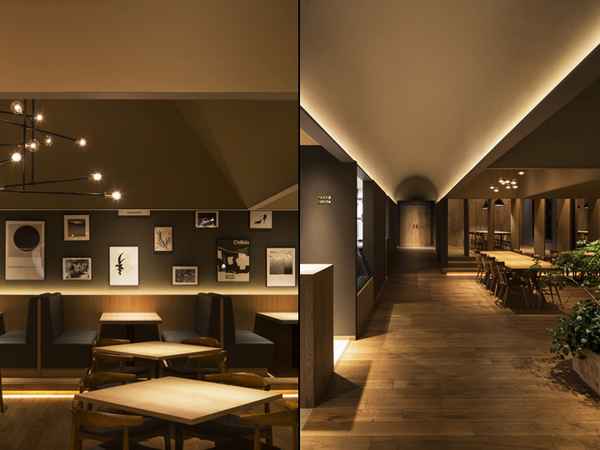 Освещение в кафе, баре или ресторане: правила организации основного света и подсветки в зале